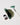 KrX Green Sea Peel - by Kin Aesthetics