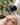Dermathod Med Shield Epidermal Cream - by Kin Aesthetics 