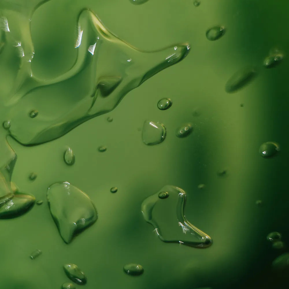 Aloe