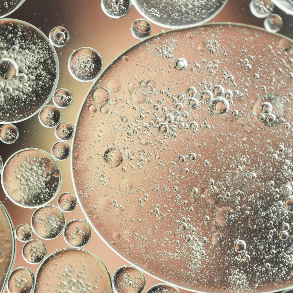 Bacillus Ferment