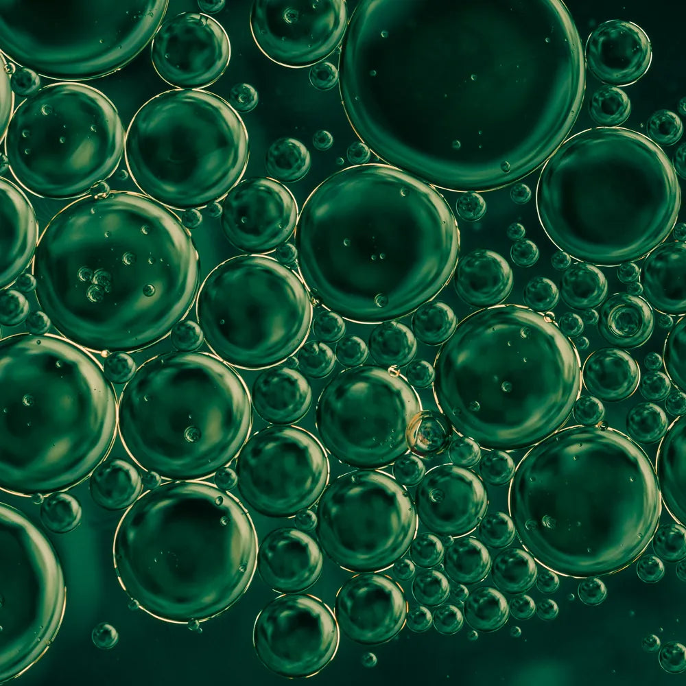 Centella Asiatica Callus Extracellular Vesicles