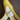 skincare product sitting in a banana peel