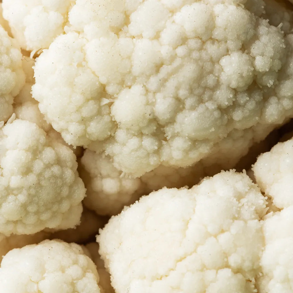 Probiotics (Bifida / Lactobacillus / Lactococcus Ferments)