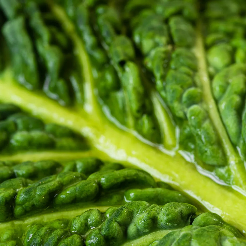 Menadione (Vitamin K)