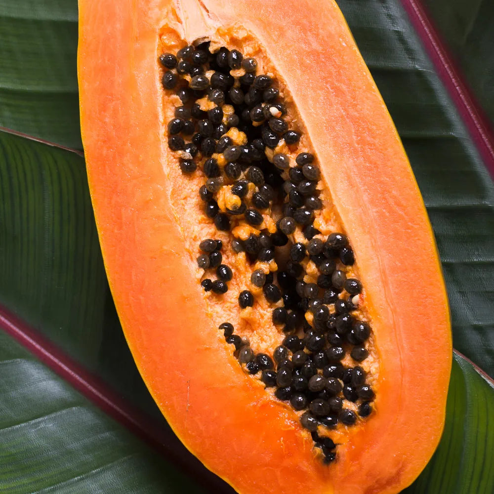 Papain & Subtilisin