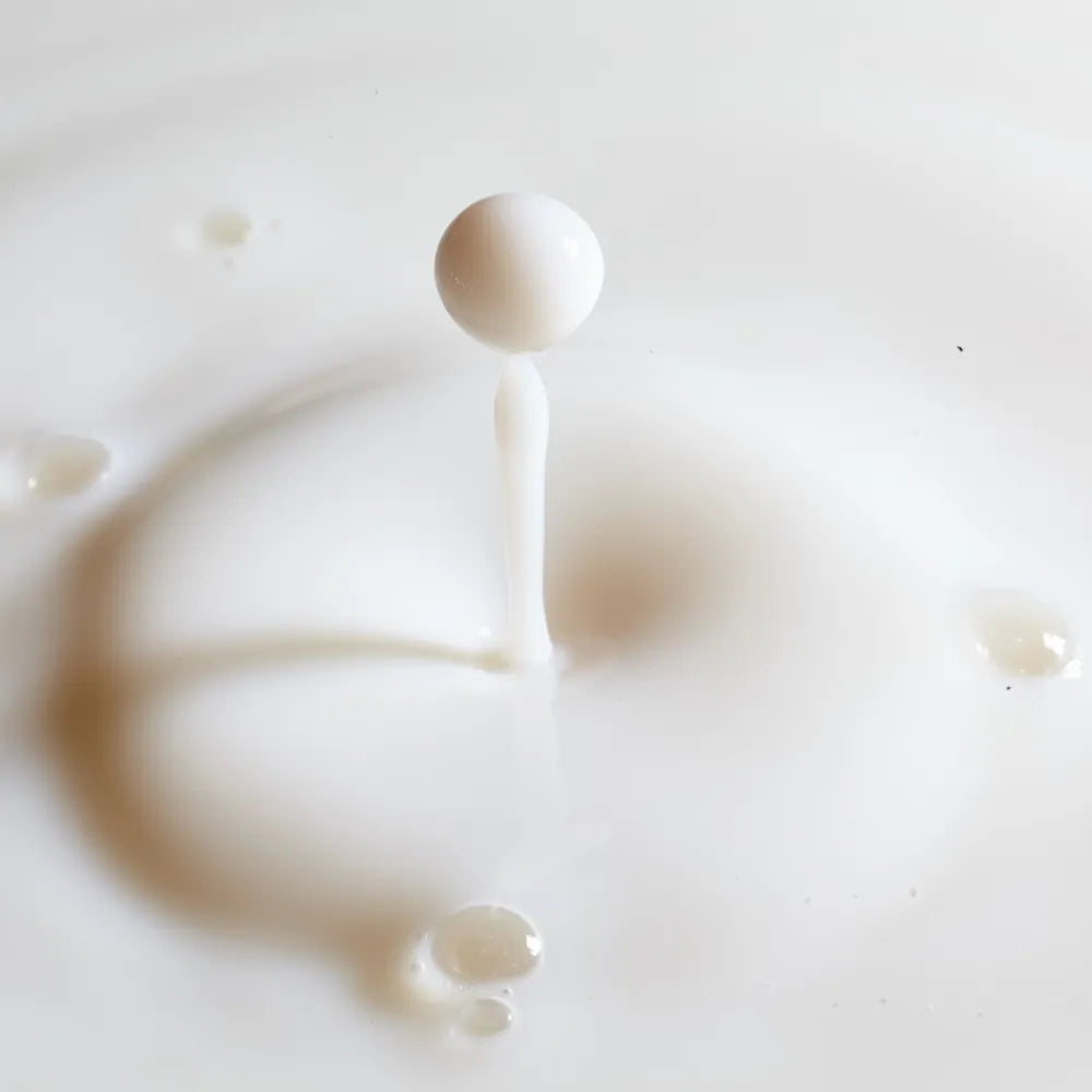 RiFerm-NPG (fermented rice water)