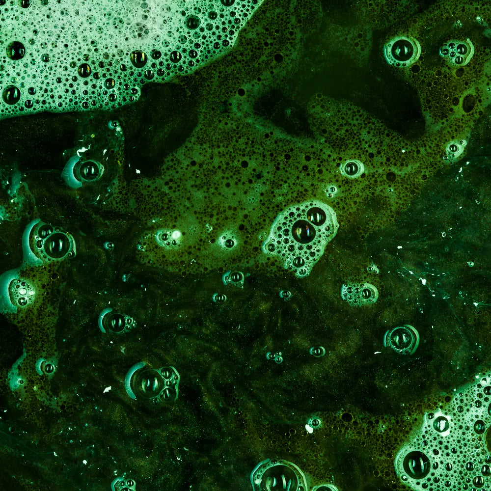 Spirulina Platensis Powder