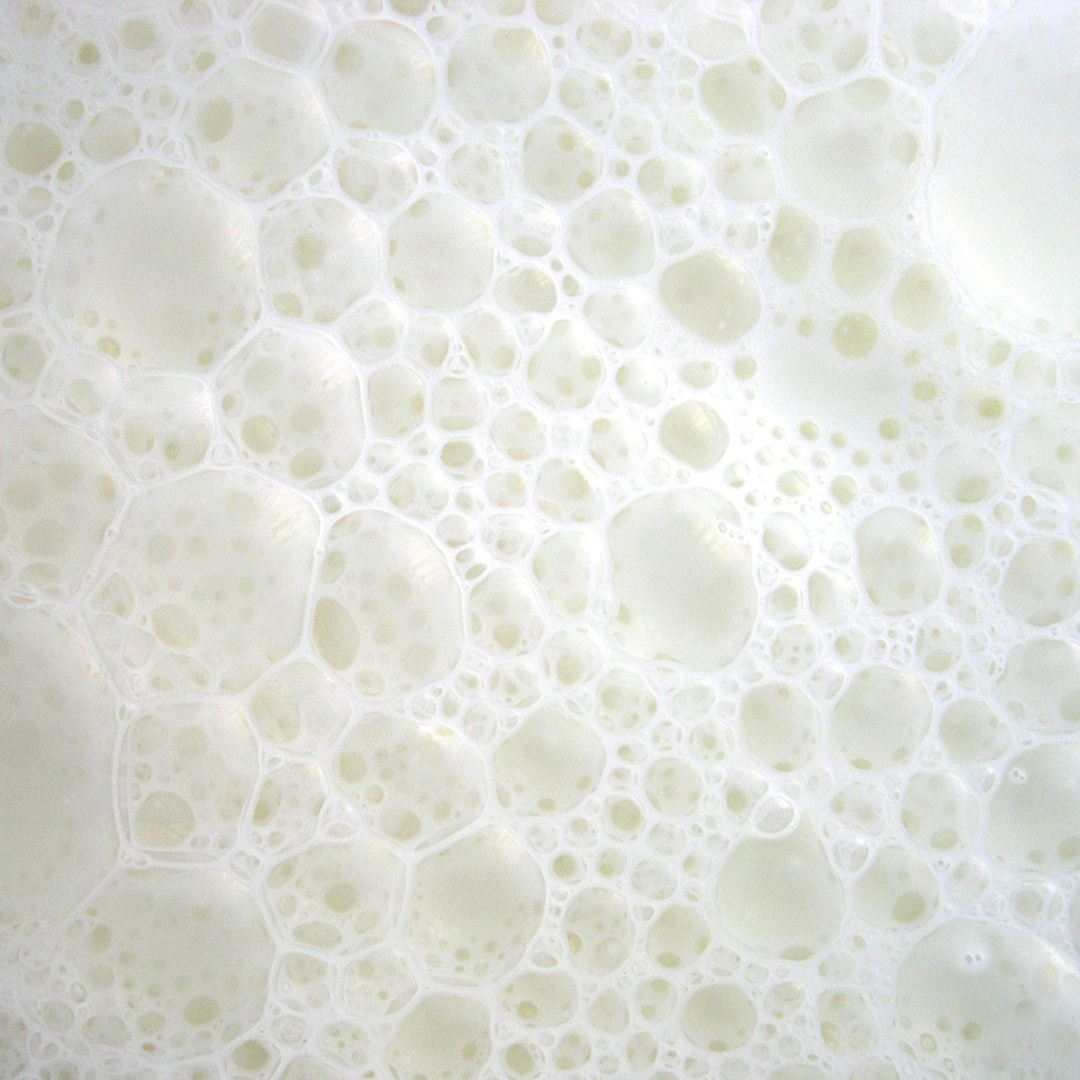 Ectoin