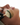 KrX Inflacure Healing Active | Kin Aesthetics